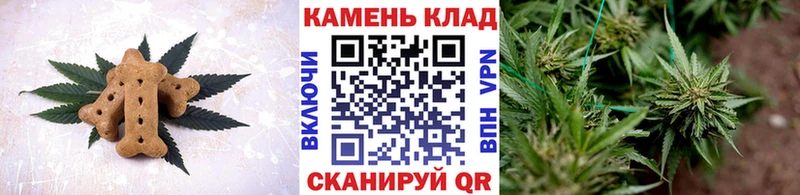 Cannafood конопля  Кольчугино 