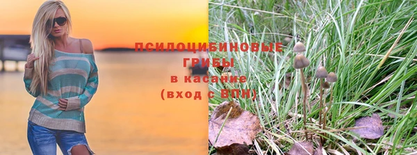 mdma Богданович