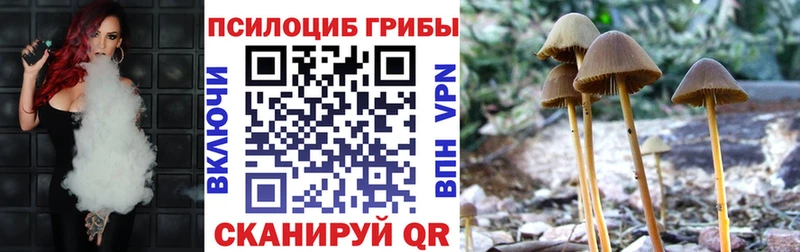 Псилоцибиновые грибы прущие грибы  это какой сайт  Кольчугино 